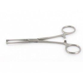 Allis forceps 4x5 15cm