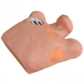 3B scientific pneumothorax model