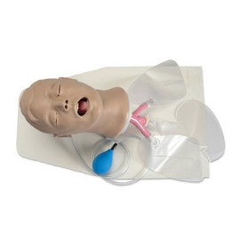 Life/form Airway Larry adult airway management trainer with stand