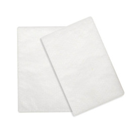 ResMed Air11 hypoallergenic CPAP filters (2 pcs)
